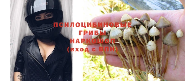прущая мука Пересвет
