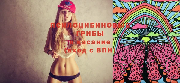 сатива Алзамай