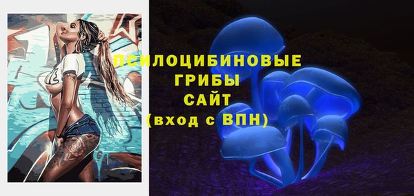 ECSTASY Алексеевка